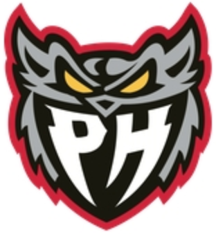 Port Huron Prowlers 2015 16-Pres Alternate Logo vinyl decal